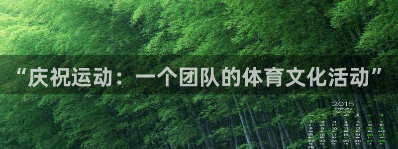 k1体育app官网登录入口：“庆祝运动：一个团队的体育文化活动”