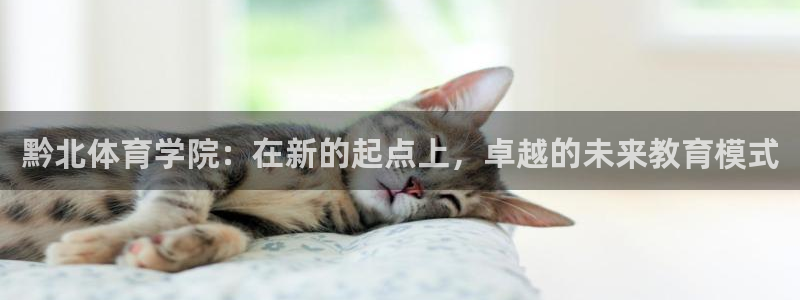 k1体育十年平台：黔北体育学院：在新的起点上，卓越的未来教育模式