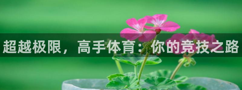 k1体育十年品牌：超越极限，高手体育：你的竞技之路