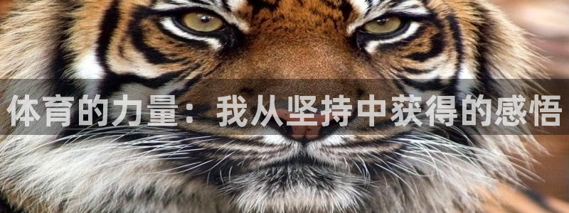 k1体育棋牌：体育的力量：我从坚持中获得的感悟