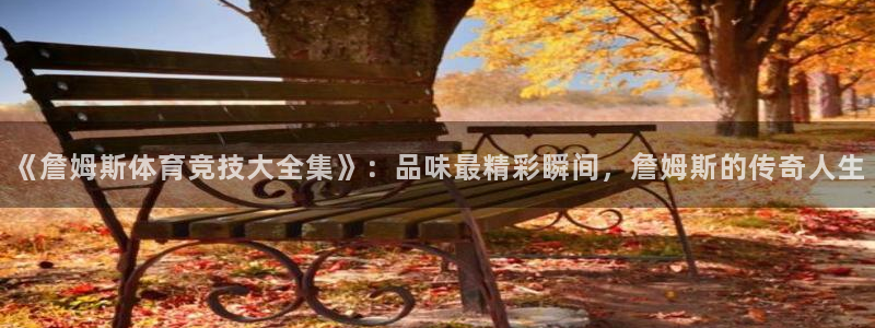 k1体育下载地址：《詹姆斯体育竞技大全集》：品味最精彩瞬间，詹姆斯的传奇人生