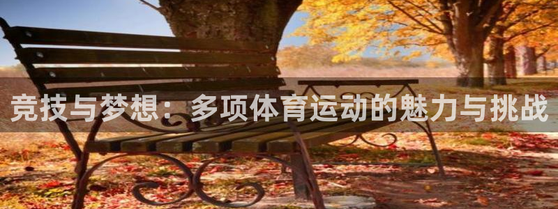 k1体育 十年品牌：竞技与梦想：多项体育运动的魅力与挑战