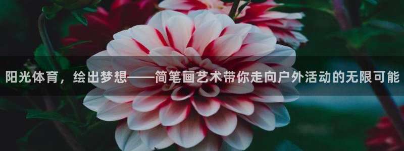 k1体育十年品牌官网：阳光体育，绘出梦想——简笔画艺术带你走向户外活动的无限可能