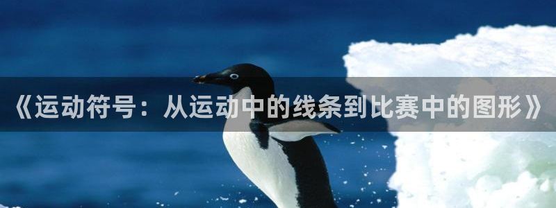 k1体育娱乐：《运动符号：从运动中的线条到比赛中的图形》