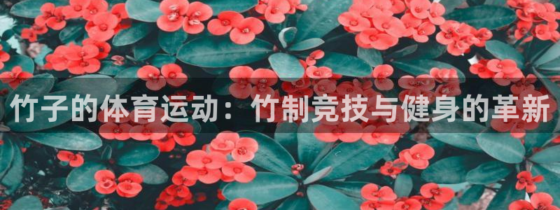 k1体育app官网登录入口：竹子的体育运动：竹制竞技与健身的革新