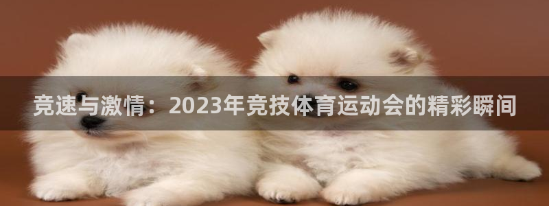 k1体育入口：竞速与激情：2023年竞技体育运动会的精彩瞬间