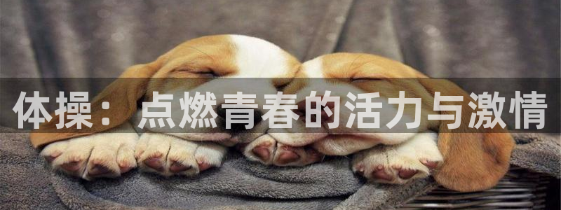 k1体育十年品牌值得信赖：体操：点燃青春的活力与激情